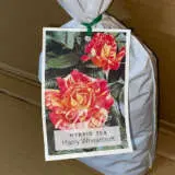 Rose Harry Wheatcroft Rose Harry Wheatcroft