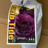 Rose Ebb Tide (pbr) Rose Ebb Tide (pbr)