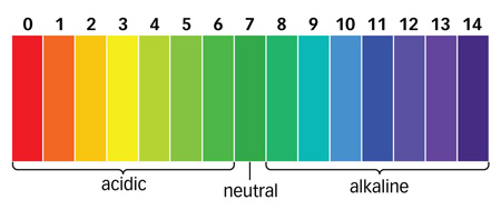 Soil Ph Chart For Fruit Trees