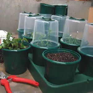 Gifts For Vegetable Gardeners Aquamiser New 01 - Garden Express Australia