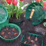 Bulb Baskets New1 - Garden Express Australia