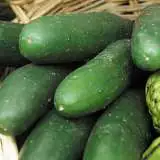 Cucumber Marketmore 01 - Garden Express Australia