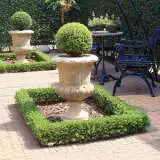 Dutch Box Lpodutbox Gl2017 - Garden Express Australia