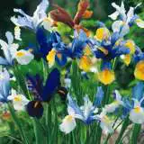 Growing Guide Growing Guide