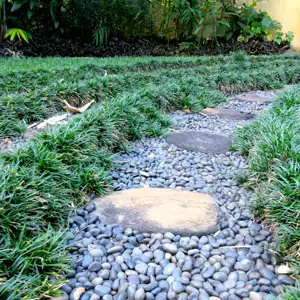 Dwarf Green Mondo Grass 68mm Dwarf Green Mondo Grass 68mm