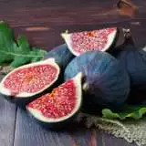 Fig Black Genoa 2017 Tregenfig - Garden Express Australia