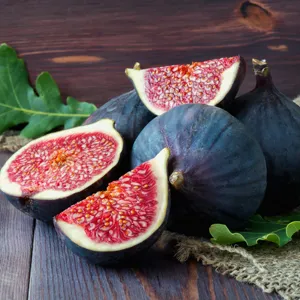 What Are The Best Fruit Trees To Grow In Victoria? Fig Black Genoa 2017 Tregenfig - Garden Express Australia