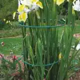 Gardeners Advantage Plant Support Round- Flex 35-50 Gardeners Advantage Plant Support Round- Flex 35-50