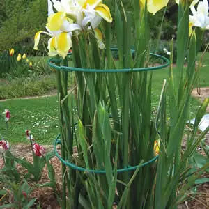 Gardeners Advantage Plant Support Round- Flex 35-50 Gardeners Advantage Plant Support Round- Flex 35-50