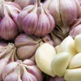Garlic Purple Shutterstock 63204943 14 - Garden Express Australia