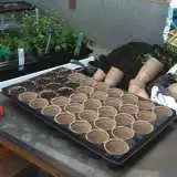 Jiffy Pots And Tray Set - Garden Express Australia