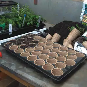 Jiffy Pot & Tray Set Jiffy Pot & Tray Set