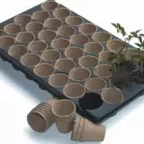 Jiffy Tray With Pots - Garden Express Australia