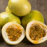 Passionfruit Panama Gold St 205054414 15 - Garden Express Australia