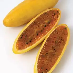 Nandina Growing Guide Passionfruit Banana Nk - Garden Express Australia