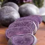 Potato Sapphire - Garden Express Australia