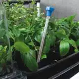 Thermometer2 01 - Garden Express Australia