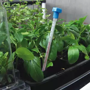 Propagating Thermometer