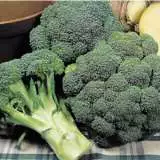 Vege Seed Broccoli 2012 - Garden Express Australia