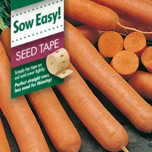 Seed Tape – Carrot Manchester Table