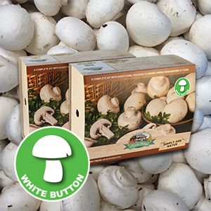 Mushroom Kit White