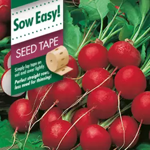 Seed Tape – Radish Cherry Belle