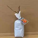 Rose Woburn Abbey Rose Woburn Abbey