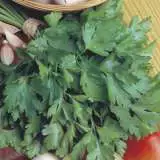 Seed Herb Parsley Italian 2019 Seeparita - Garden Express Australia