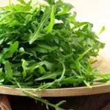 Seed Rocket Cultivated Organic 2019 Seeroccuo - Garden Express Australia