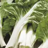 Seed Silverbeet White Silver Organic Seesilwso - Garden Express Australia