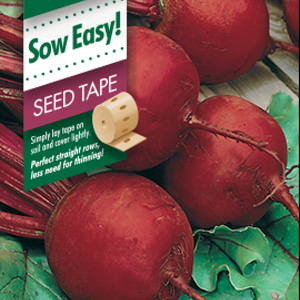 SEED TAPE – BEETROOT BOLTARDY