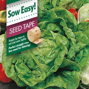 SEED TAPE – LETTUCE ALL YEAR
