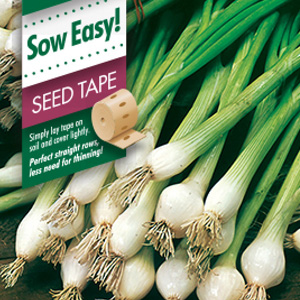 Seed Tape – Spring Onion