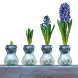 Page 64 Hyacinth Vases