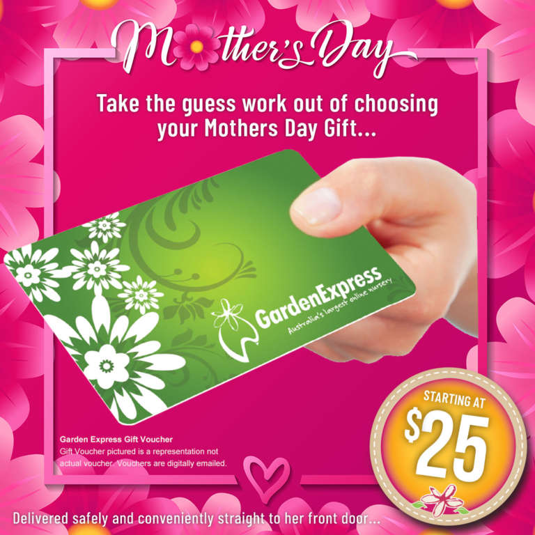 SLOGGERS MENS SCRUB BOOT BLACK - Garden Express