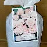 Rose Champagner Rose Champagner