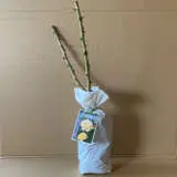 Rose Peace Rose Peace