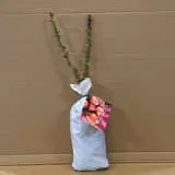 Rose Bold Seduction (pbr) Rose Bold Seduction (pbr)