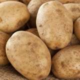 Potato Russet Burbank St 116118913 15 - Garden Express Australia