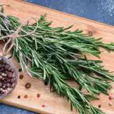 Rosemary Gorza Lporosgor 2018 - Garden Express Australia