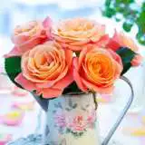 Joyfullness 13 - Garden Express Australia