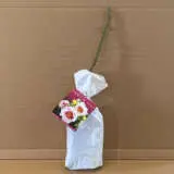 Rose Eyes For You (pbr) Rose Eyes For You (pbr)