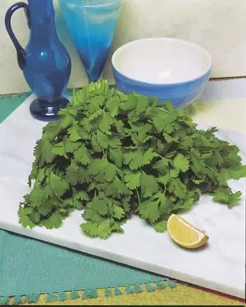 Seed – Coriander Lemon
