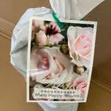 Rose Many Happy Returns Rose Many Happy Returns