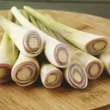 Lemongrass16 - Garden Express Australia