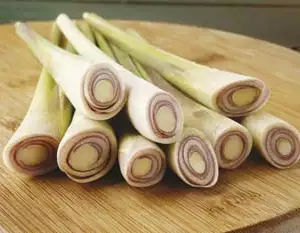 Seed – Lemon Grass