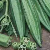 Okra Ladys Fingers 16 - Garden Express Australia