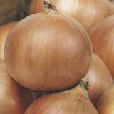 Seed – Onion Hunter River Brown