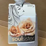 Rose Soul Sister (pbr) Rose Soul Sister (pbr)