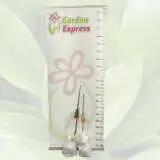 Ballerina Apple Polka Ballerina Apple Polka